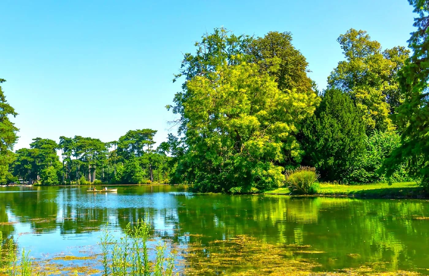 Bois de Boulogne — Désinfection Neuilly-sur-Seine