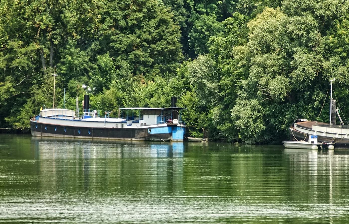 Confluence Seine-Oise — Désinfection Conflans-Sainte-Honorine