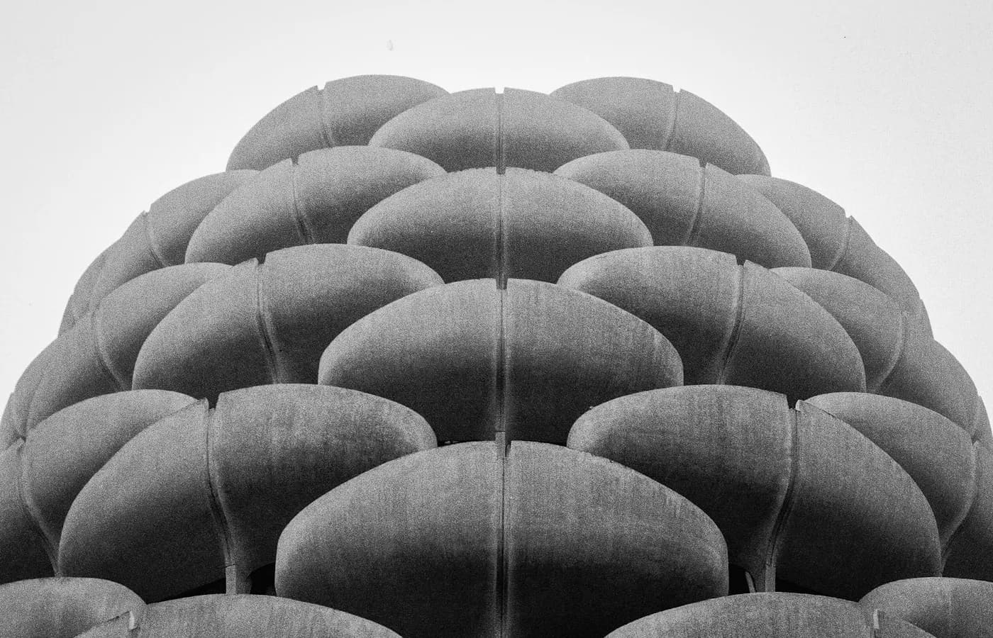 Les Choux de Creteil — Désinfection Creteil