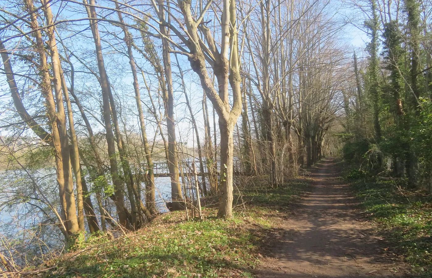 Sentier en bord de Seine — Désinfection Les Mureaux