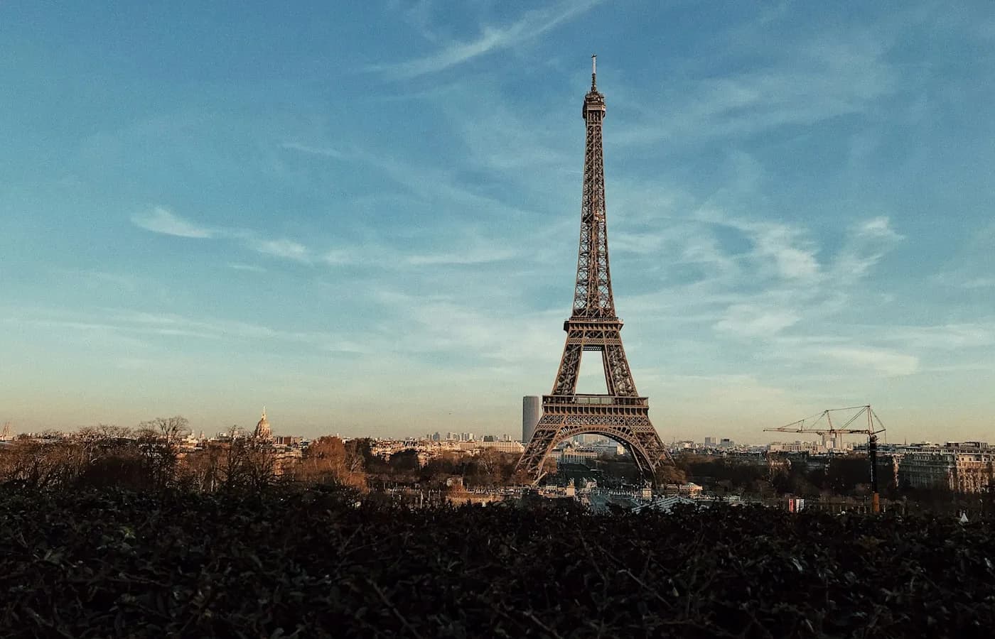 Vue de la Tour Eiffel depuis le 15e — Désinfection Paris 15e