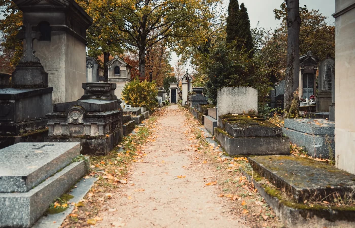 Cimetiere du Pere-Lachaise — Désinfection Paris 20e