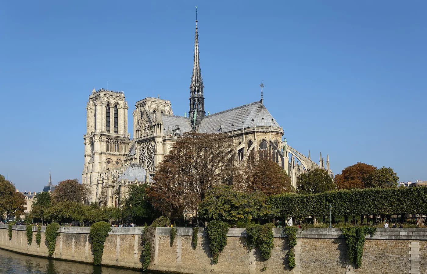 Notre-Dame de Paris — Désinfection Paris 4e